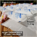 Ice gel THERMAFREEZE pengganti es batu THERMA FREEZE square sheet (price/cell)